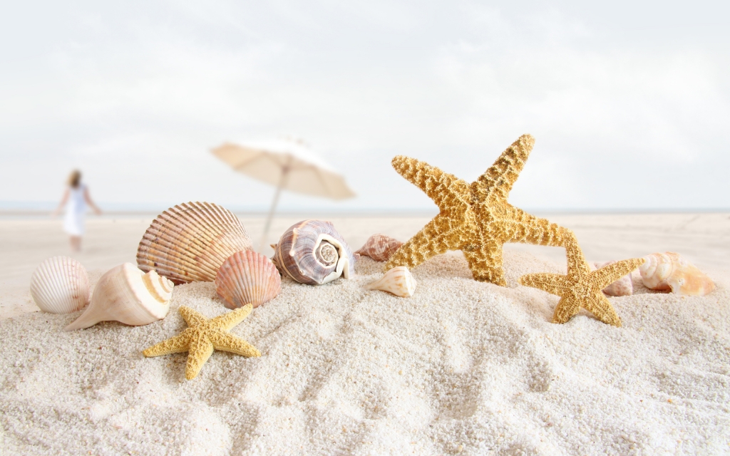 Starfish-Wallpaper-beach-sand-shells-shell[1]