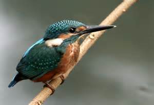 image016