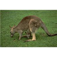 image001
