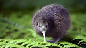 image021