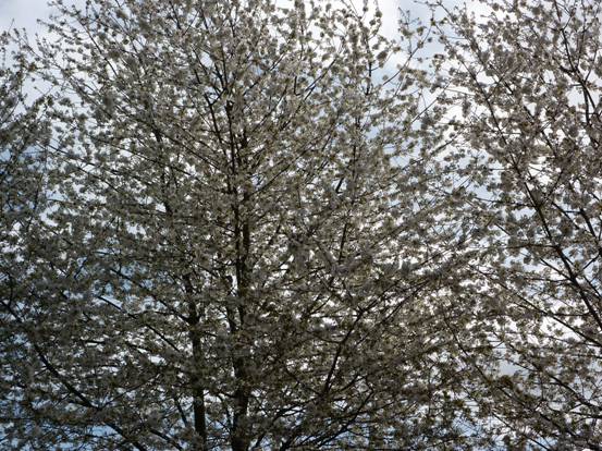 image041