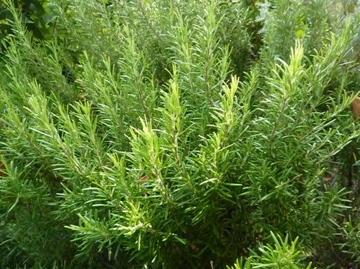 image012