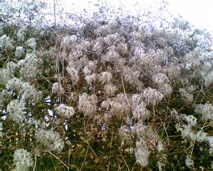 image058