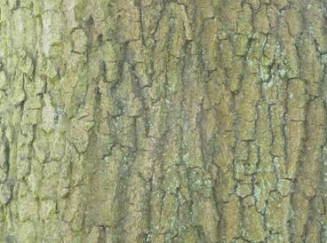 image018
