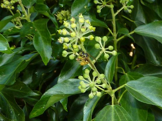 image073