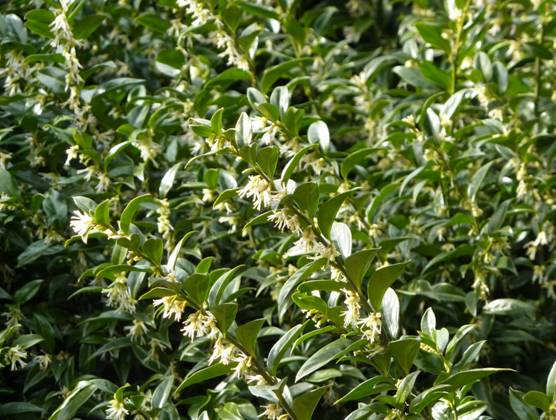 image076