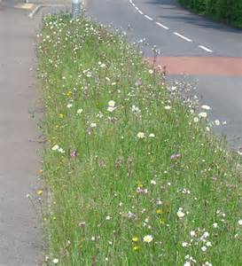 image035