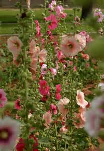 image053