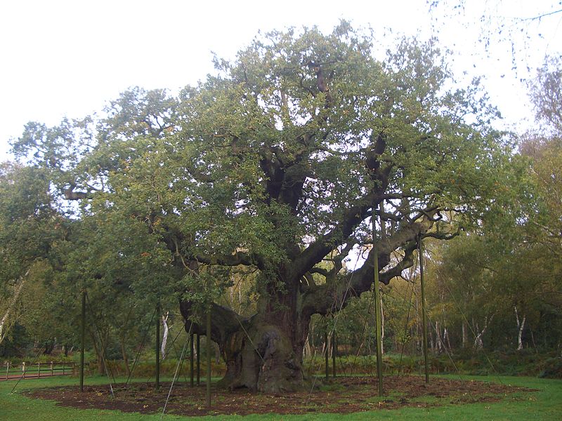 image028