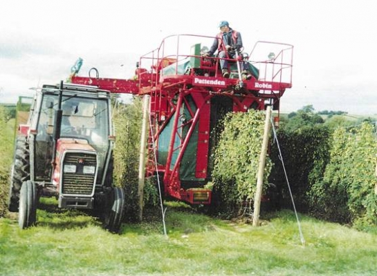 426. Hops - Christina Sinclair: Salty Sam's Fun Blog for Children